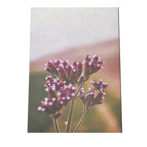 A[gvg |X^[ CeA  Vv  t[ ϗtA _ G ʐ^ tHg x_[ CbN R {^jJ X WO ނ炳 c  a0 a1 a2 a3 a4 b0 b