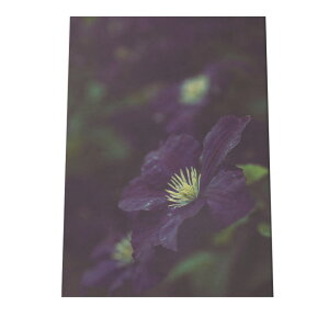 A[gvg |X^[ CeA  Vv  t[ ϗtA _ G ʐ^ tHg L|EQ R {^jJ X WO ނ炳 c  a0 a1 a2 a3 a4 b0 b1 b2 b3 b4 