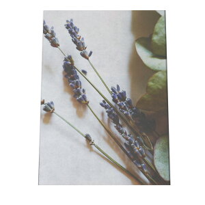 A[gvg |X^[ CeA  Vv  t[ ϗtA JtF ʐ^ tHg x_[ R {^jJ X ؍ ނ炳 c  a0 a1 a2 a3 a4 b0 b1 b2 b3 b4   c