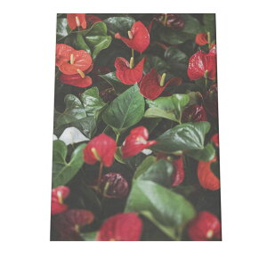 A[gvg |X^[ CeA  AXE  ϗtϗtA R {^jJ Vv  t[ JtF ʐ^ tHg X ؍ sN c  A[g a0 a1 a2 a3 a4 b0 b1 b2 b3 b4 