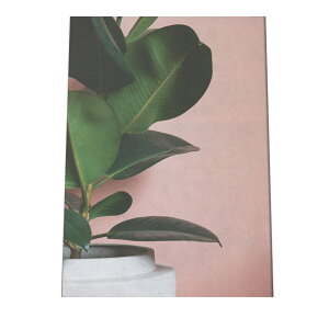 A[gvg |X^[ CeA  A[g _ Vv ϗtA O[  R k ؍ a0 a1 a2 a3 a4 b0 b1 b2 b3 b4  傫  cyfg-poster-335z