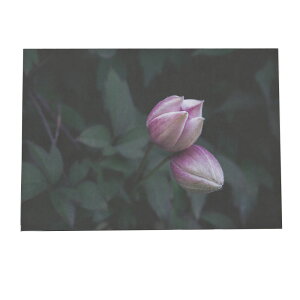 A[gvg |X^[ CeA  A[g _ Vv ϗtA O[  R k ؍ a0 a1 a2 a3 a4 b0 b1 b2 b3 b4  傫  yfg-poster-338z