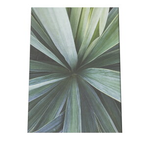 A[gvg |X^[ CeA  A[g _ Vv ϗtA O[  R k ؍ a0 a1 a2 a3 a4 b0 b1 b2 b3 b4  傫  cyfg-poster-339z