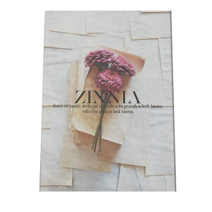 A[gvg |X^[ CeA |X^[ A[g Vv     t[   u[ CG[ rO  a0 a1 a2 a3 a4 b0 b1 b2 b3 b4  傫  cyfg-po