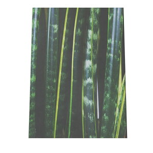 A[gvg |X^[ CeA  A[g _ Vv ϗtA O[  R k ؍ a0 a1 a2 a3 a4 b0 b1 b2 b3 b4  傫  cyfg-poster-343z