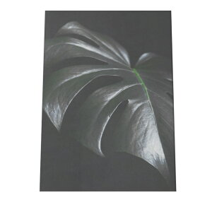 A[gvg |X^[ CeA  A[g _ Vv ϗtA O[  R k ؍ a0 a1 a2 a3 a4 b0 b1 b2 b3 b4  傫  cyfg-poster-344z