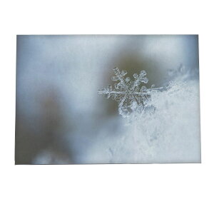 A[gvg |X^[ CeA   ~  k NX}X tHg ʐ^ C~l[V T^N[X giJC NX}Xc[ [X d Cg a0 a1 a2 a3 a4 b0 b1 b2 b