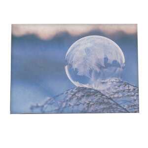 A[gvg |X^[ CeA   ~  k NX}X tHg ʐ^ C~l[V T^N[X giJC NX}Xc[ [X d Cg a0 a1 a2 a3 a4 b0 b1 b2 b