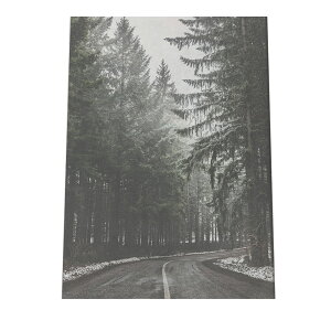 A[gvg |X^[ CeA   ~  k NX}X tHg ʐ^ C~l[V T^N[X giJC NX}Xc[ [X d Cg a0 a1 a2 a3 a4 b0 b1 b2 b