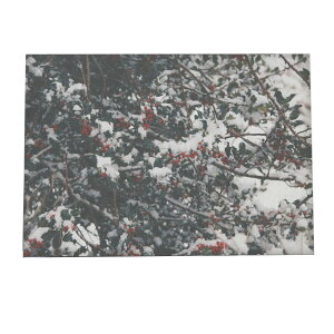 A[gvg |X^[ CeA  ؍ qCM [X  ~  k NX}X A[g tHg ʐ^ ݂̖ ϗtA i` A a0 a1 a2 a3 a4 b0 b1 b2 b3 b4   