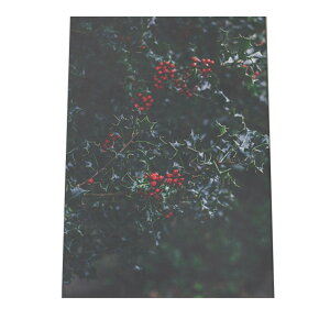 A[gvg |X^[ CeA  ؍ qCM [X  ~  k NX}X A[g tHg ʐ^ ݂̖ ϗtA i` A  a0 a1 a2 a3 a4 b0 b1 b2 b3 b4  