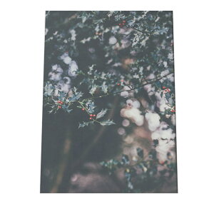 A[gvg |X^[ CeA   ~  k NX}X ؍ qCM [X A[g tHg ʐ^ ݂̖ ϗtA i` A  a0 a1 a2 a3 a4 b0 b1 b2 b3 b4  