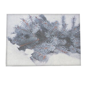 A[gvg |X^[ CeA   ~ k NX}X I[ig C~l[V T^N[X giJC NX}Xc[ [X d Cg a0 a1 a2 a3 a4 b0 b1 b2 b3 