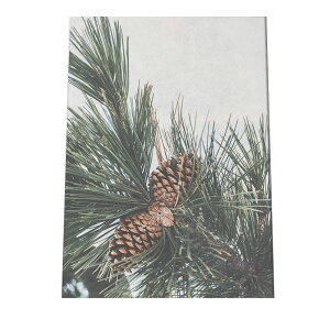 A[gvg |X^[ CeA   ~ k NX}X I[ig C~l[V T^N[X giJC NX}Xc[ [X d Cg a0 a1 a2 a3 a4 b0 b1 b2 b3 