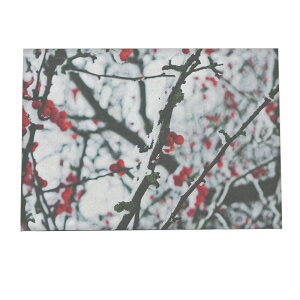 A[gvg |X^[ CeA   ~ k NX}X A[g qCM C~l[V T^N[X giJC NX}Xc[ [X d Cg a0 a1 a2 a3 a4 b0 b1 b2