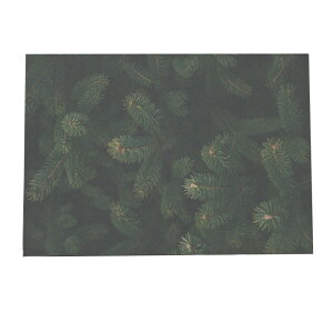 A[gvg |X^[ CeA   ~ k NX}X A[g qCM C~l[V T^N[X giJC NX}Xc[ [X d Cg a0 a1 a2 a3 a4 b0 b1 b2