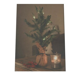 A[gvg |X^[ CeA   ~ ~ k NX}X A[g tHg ʐ^ C~l[V T^N[X A NX}Xc[ [X d Cg a0 a1 a2 a3 a4 b0 b1 