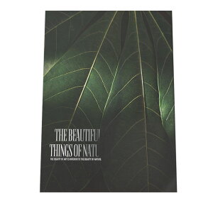 A[gvg |X^[ CeA tHg _ Vv   JtF  J  H I R i` X WO {^jJ t  掿 O[ A a0 a1 a2 a