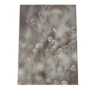 A[gvg |X^[ CeA  A[g {^jJ ϗtA O[ mN  t[ fCW[ 킢 ؍ k a0 a1 a2 a3 a4 b0 b1 b2 b3 b4  傫  cyfg-post