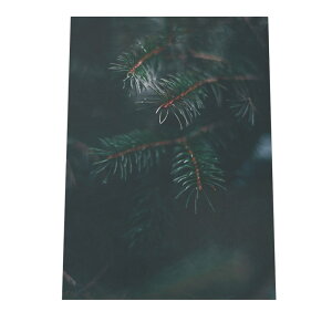 A[gvg |X^[ CeA  X  jt  Ebh i Lv  O[ G  a0 a1 a2 a3 a4 b0 b1 b2 b3 b4  傫  cyfg-poster-500z