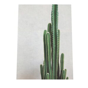 A[gvg |X^[ CeA  T{e JN^X  G A[g  G R USA JtHjA k i` a0 a1 a2 a3 a4 b0 b1 b2 b3 b4  傫  cyfg-poster-506