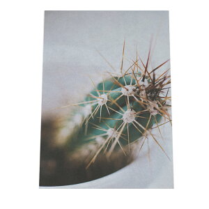 A[gvg |X^[ CeA  T{e JN^X  G A[g  G R USA JtHjA k i` a0 a1 a2 a3 a4 b0 b1 b2 b3 b4  傫  cyfg-poster-509