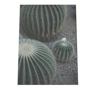 A[gvg |X^[ CeA  T{e JN^X  G A[g  G R USA JtHjA k i` a0 a1 a2 a3 a4 b0 b1 b2 b3 b4  傫  cyfg-poster-516