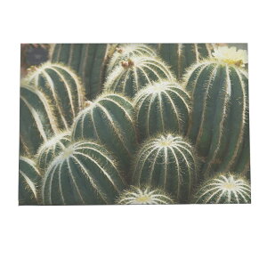 A[gvg |X^[ CeA  T{e JN^X  G A[g  G R USA JtHjA k i` a0 a1 a2 a3 a4 b0 b1 b2 b3 b4  傫  yfg-poster-517