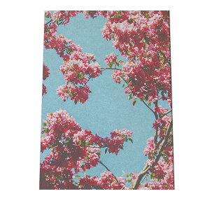 A[gvg |X^[ CeA  E  TN ~ E  t[ sN  K[fjO a0 a1 a2 a3 a4 b0 b1 b2 b3 b4  傫  cyfg-poster-522z