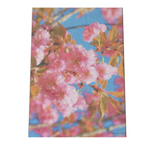 A[gvg |X^[ CeA  E  TN ~ E  t[ sN  K[fjO a0 a1 a2 a3 a4 b0 b1 b2 b3 b4  傫  cyfg-poster-523z