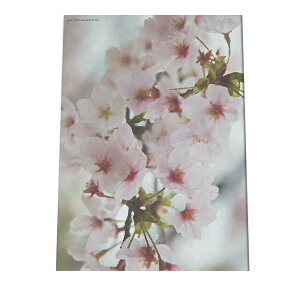 A[gvg |X^[ CeA  TN ~ E  t[ sN  K[fjO E  a0 a1 a2 a3 a4 b0 b1 b2 b3 b4  傫  cyfg-poster-525z