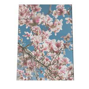 A[gvg |X^[ CeA  TN ~ E  t[ sN   _ a0 a1 a2 a3 a4 b0 b1 b2 b3 b4  傫  cyfg-poster-529z