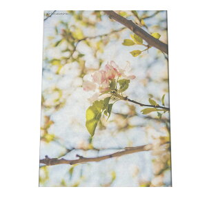 A[gvg |X^[ CeA  TN ~ E  t[ sN   _ a0 a1 a2 a3 a4 b0 b1 b2 b3 b4  傫  cyfg-poster-530z