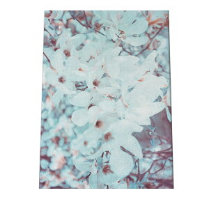 A[gvg |X^[ CeA  TN   t[ G A {^jJ O[ a0 a1 a2 a3 a4 b0 b1 b2 b3 b4  傫  cyfg-poster-540z