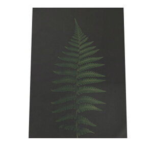 A V_  i` A[gvg |X^[ CeA  A[g _ Vv  ϗtA cyfg-poster-546z