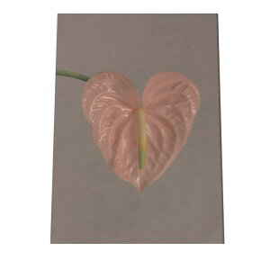 AXE sN uE |bv A[gvg |X^[ CeA  A[g _ Vv  ϗtA cyfg-poster-553z