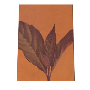 A[gvg |X^[ CeA  ϗtA {^jJ t rO ͗lւ k ؍  ͂ Vv G Ǌ| _ A[g a0 a1 a2 a3 a4 b0 b1 b2 b3 b4  傫  