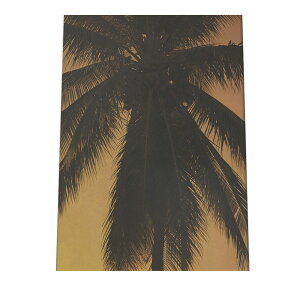 A[gvg |X^[ CeA  T[t@[ C r[` l  Ol ؓ T[t {[h g  C r[`nEX nC JtHjA a0 a1 a2 a3 a4 b0 b1 b2 b3 b4  