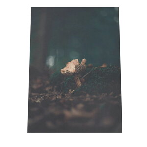 A[gvg |X^[ CeA   J  H I R i` X WO {^jJ t  掿 O[ A LmR a0 a1 a2 a3 a4 b0 b1 b2 b3 b4   cy