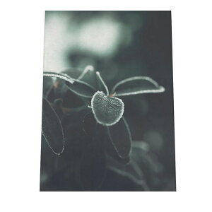 A[gvg |X^[ CeA   J  H I R i` X WO {^jJ t  掿 O[ A a0 a1 a2 a3 a4 b0 b1 b2 b3 b4  傫  cy