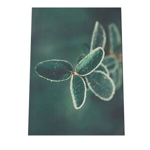 A[gvg |X^[ CeA   J  H I R i` X WO {^jJ t  掿 O[ A a0 a1 a2 a3 a4 b0 b1 b2 b3 b4  傫  cy