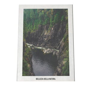 A[gvg |X^[ CeA  傫 i  C R CO R _    a0 a1 a2 a3 a4 b0 b1 b2 b3 b4  傫  cyfg-poster-595z