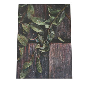 A[gvg |X^[ CeA  g JtHjA R R ϗtA k ؍ mg[ CO i Vv  i` C a0 a1 a2 a3 a4 b0 b1 b2 b3 b4  傫 