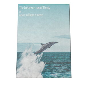 A[gvg |X^[ CeA tHg  _ Vv    g T[t T[t@[ TZbg C  [ LC Y JtHjA 썑 V̖ i`