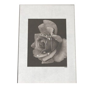 A[gvg |X^[ CeA  mN  mg[ VbN bZ[W p A ubN ʐ^ CeA a0 a1 a2 a3 a4 b0 b1 b2 b3 b4  傫  cyfg-poster-638z