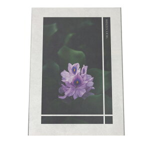 �A�[�g�v�����g �|�X�^�[ �C���e���A ������� ���킢�� ������� �� �o�� �΂� �K�N �s���N �z���C�g ������ �A�[�g �G �G�� a0 a1 a2 a3 a4 b0 b1 b2 b3 b4 ���� �傫�� ������ �c�yfg-poster-667�z