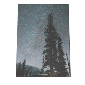 A[gvg |X^[ CeA   F    i vl^E CO  a0 a1 a2 a3 a4 b0 b1 b2 b3 b4  傫  cyfg-poster-717z