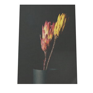 A[gvg |X^[ CeA  A[g Vv     t[  hCt[ A _ rO  a0 a1 a2 a3 a4 b0 b1 b2 b3 b4   cyfg-