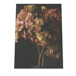 A[gvg |X^[ CeA  A[g Vv     t[  hCt[ A _ rO  a0 a1 a2 a3 a4 b0 b1 b2 b3 b4   cyfg-