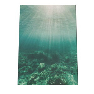 A[gvg |X^[ CeA  C C JtHjA ubN T[t ꂢ  g  [C C̒ _ _CrO a0 a1 a2 a3 a4 b0 b1 b2 b3 b4  傫  c